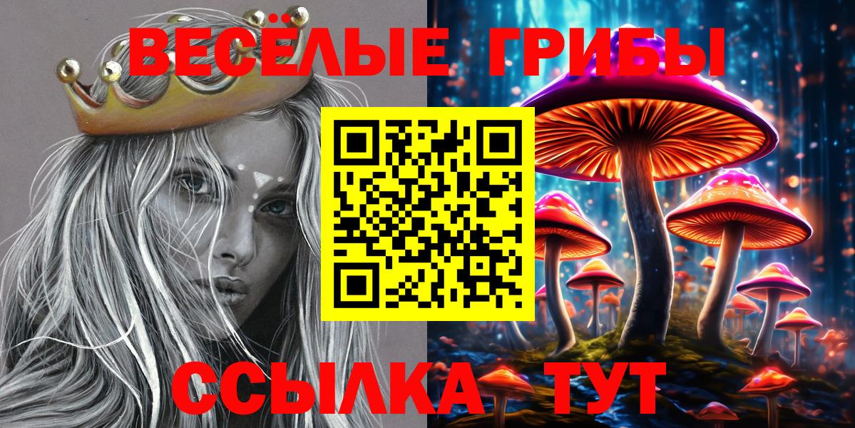 Галлюциногенные грибы Magic Shrooms  Вход с VPN  Псилоцибиновые грибы мицелий  Камышлов 